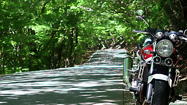 �؉k���2025�t