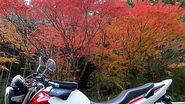 �g�t2025�H�P